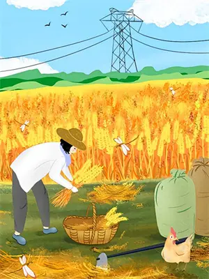 开心农村直播